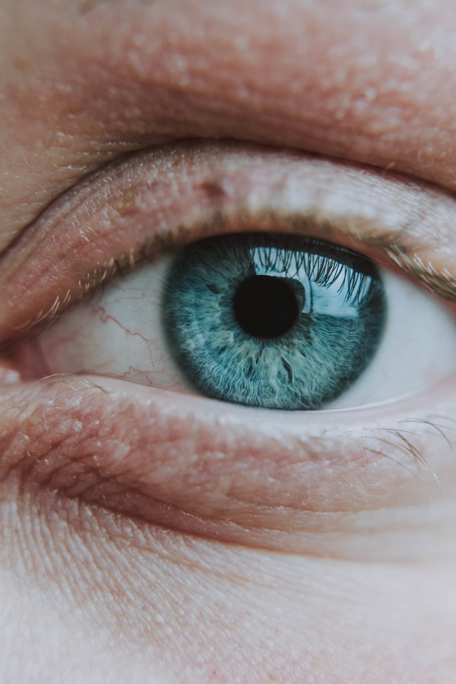 Retinal & Macular